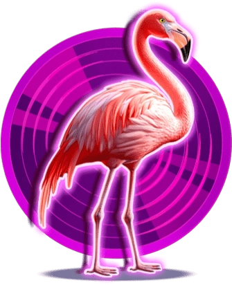 Flamant Rose